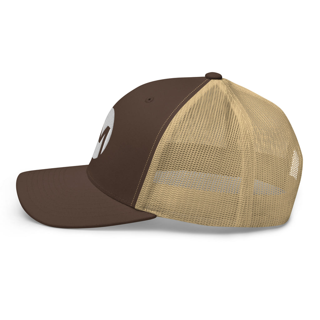 Brown & khaki hat